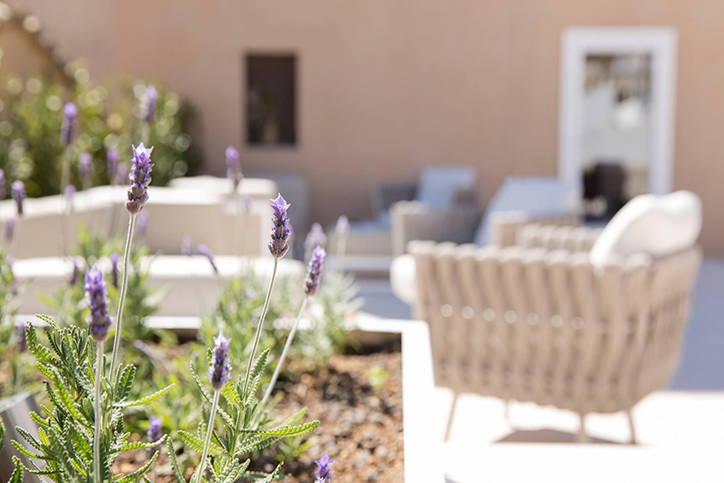 Convent De La Missio - Grand Luxury Boutique Hotel, Adults Only Palma de Mallorca Exteriér fotografie
